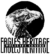 Eagles Heritage - Accommodation Port Hedland